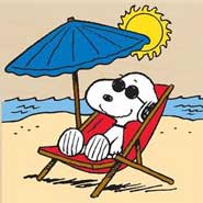 dog beach plaža za pse spiaggia per cani strand für hunde Crikvenica croatia