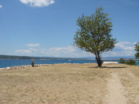 piaggia per cani strand fr hunde